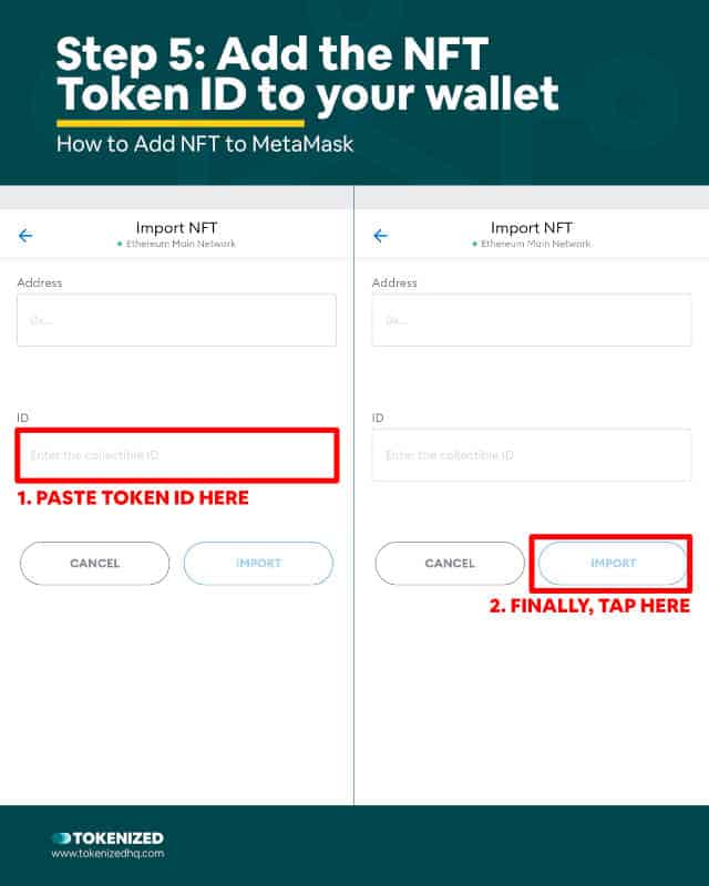 Step-by-Step Guide on How to Add NFT to MetaMask Wallet – Step 5