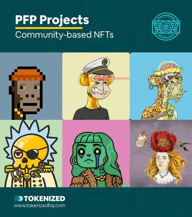 Examples of NFTs of community-based PFP projects.