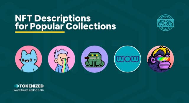Infographic showing 5 of the most popular NFT collections on OpenSea.