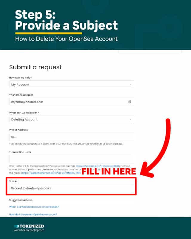 Step-by-Step Guide on How to Delete OpenSea Account – Step 5: Provide a Subject