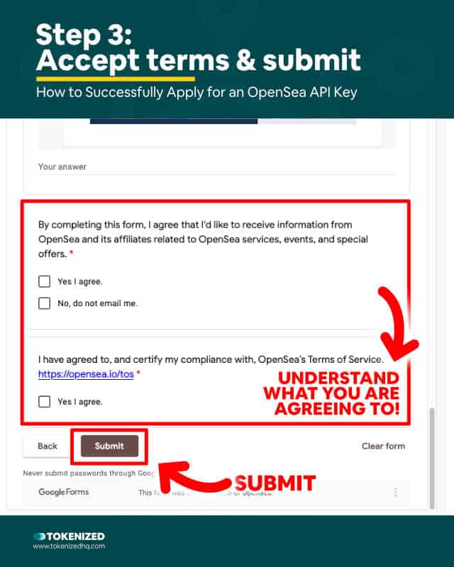 Step-by-step guide explaining how to successfully apply for the OpenSea API – Step 3