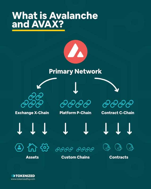 Infographic explaining what Avalanche and AVAX are.