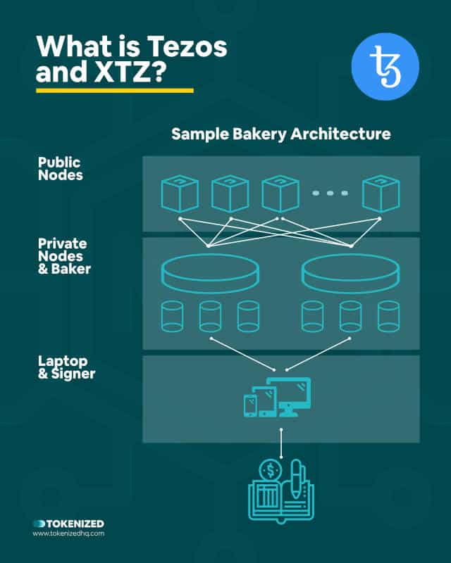 Infographic explaining what Tezos network and XTZ token are.