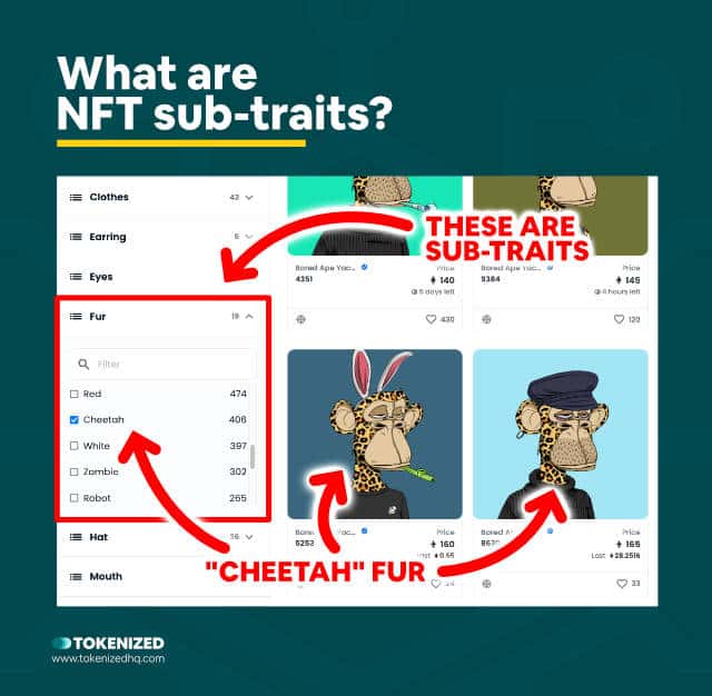 Infographic explaining what NFT sub-traits are.
