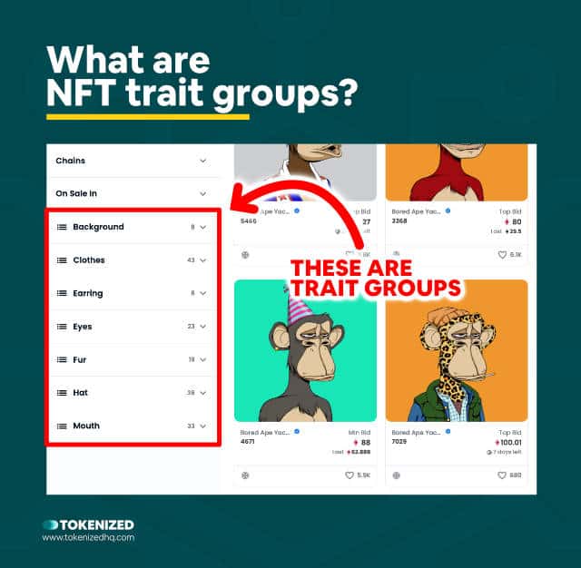 Infographic explaining what NFT trait groups are.
