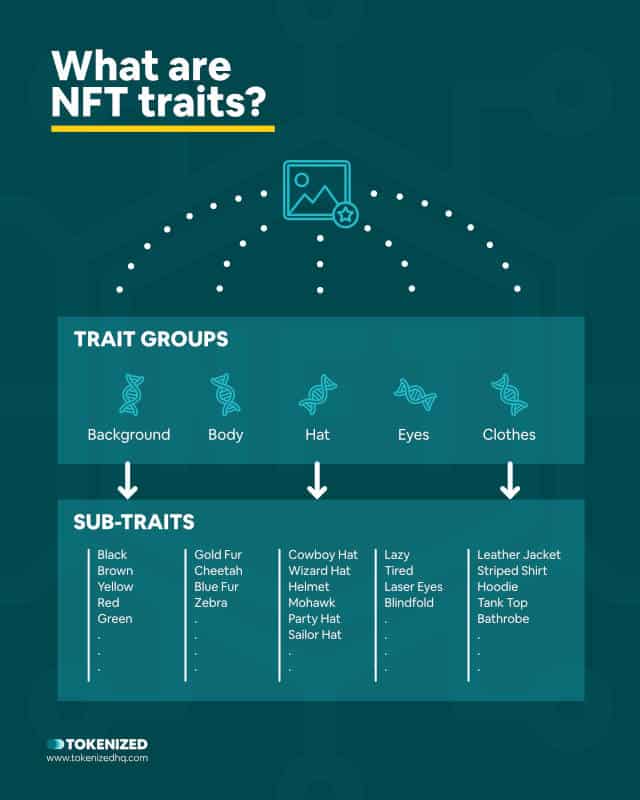 Infographic explaining what NFT traits are.