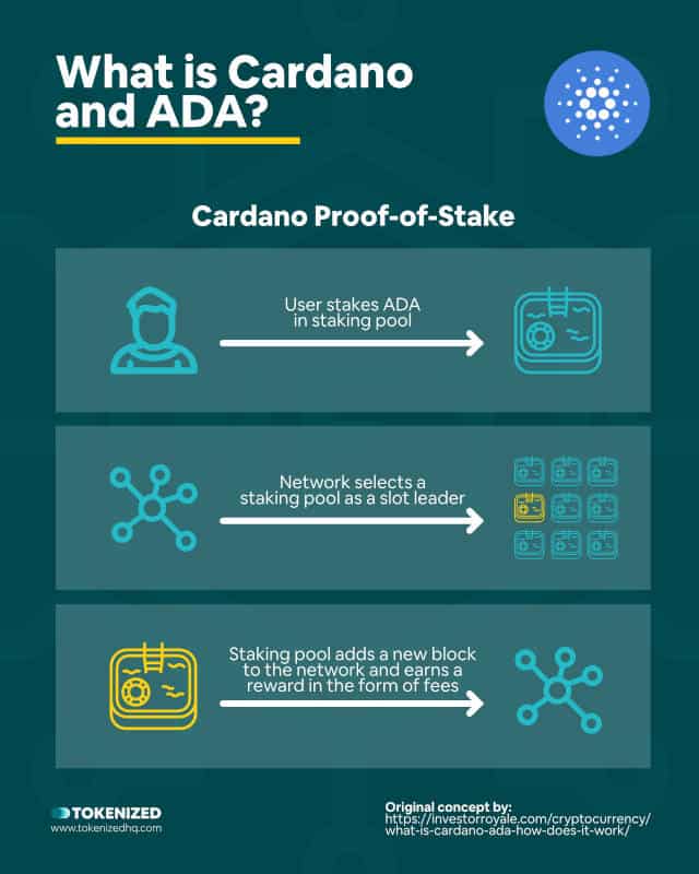 Infographic explaining what Cardano and ADA are and how Proof-of-Stake works.