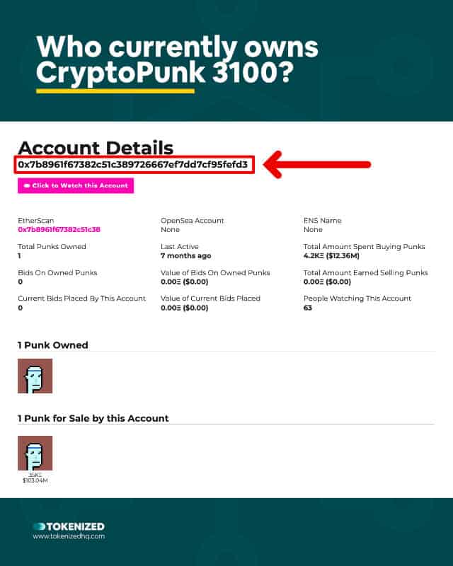 Infographic showing who the current owner of CryptoPunk 3100 is.