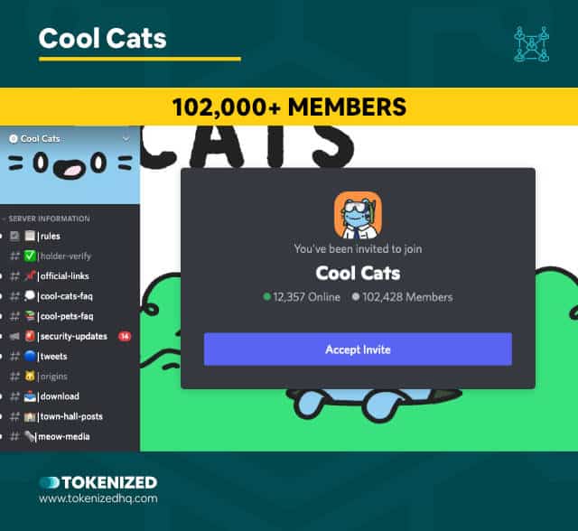 Screenshot of the Cool Cats NFT Community Discord