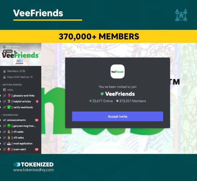 Screenshot of the VeeFriends NFT Community Discord
