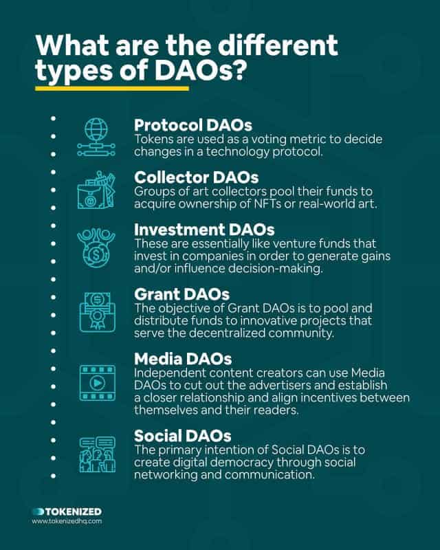 Infographic explaining what the different types of DAOs are.