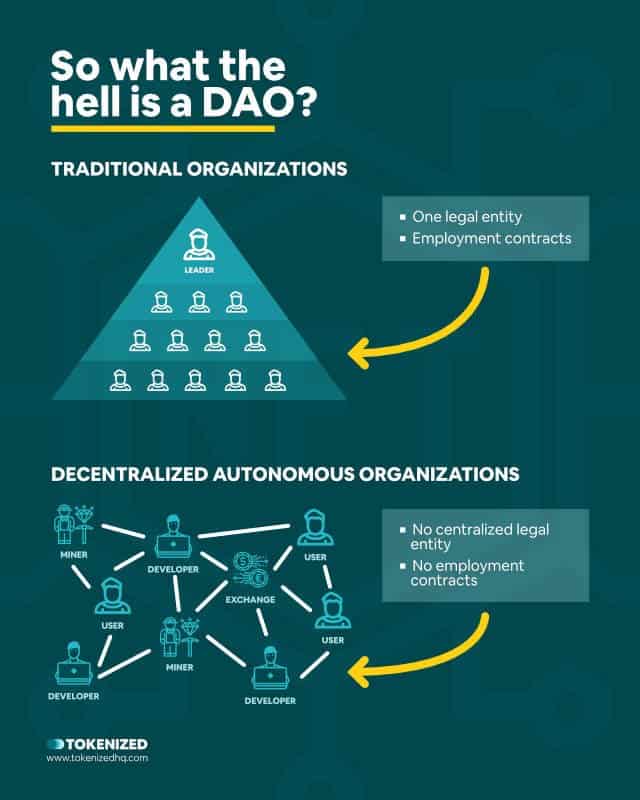 Infographic explaining what a DAO is.