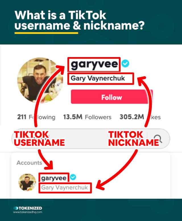 Infographic explaining what Tiktok usernames and nicknames are.