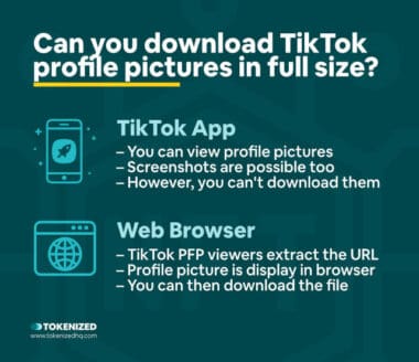 The 5+ Best TikTok Profile Picture Viewers in 2023 — Tokenized