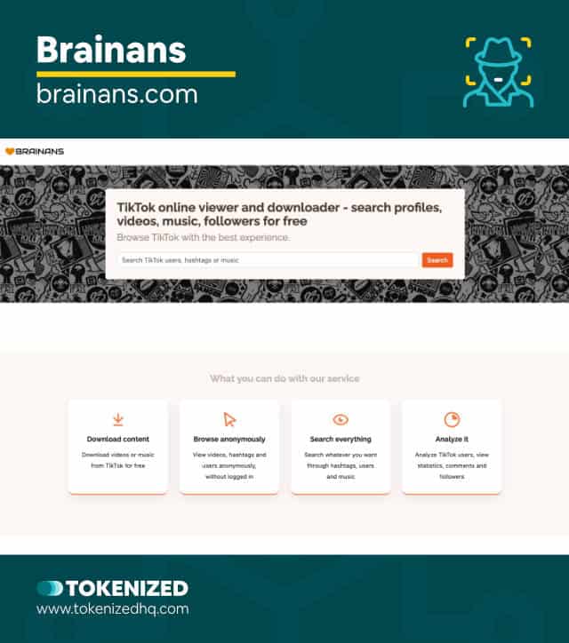 Screenshot of the Brainans TikTok private account viewer website.