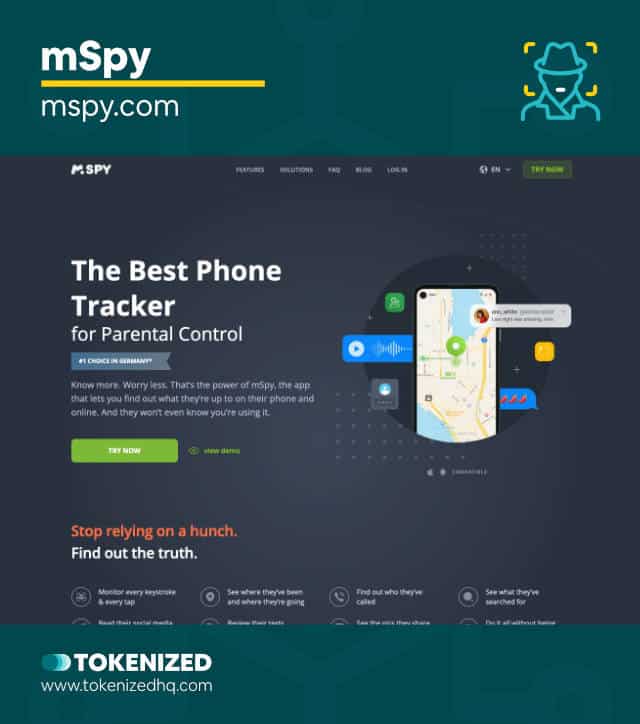 Screenshot of the mSpy TikTok private account viewer website.