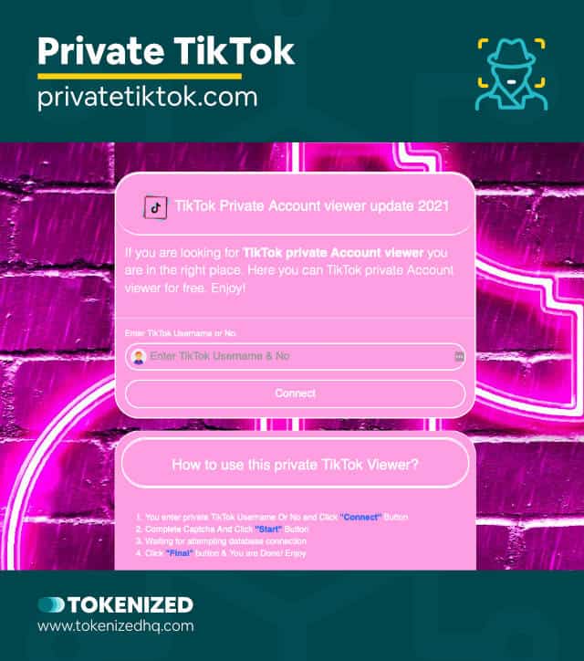 Screenshot of the Private TikTok account viewer website.