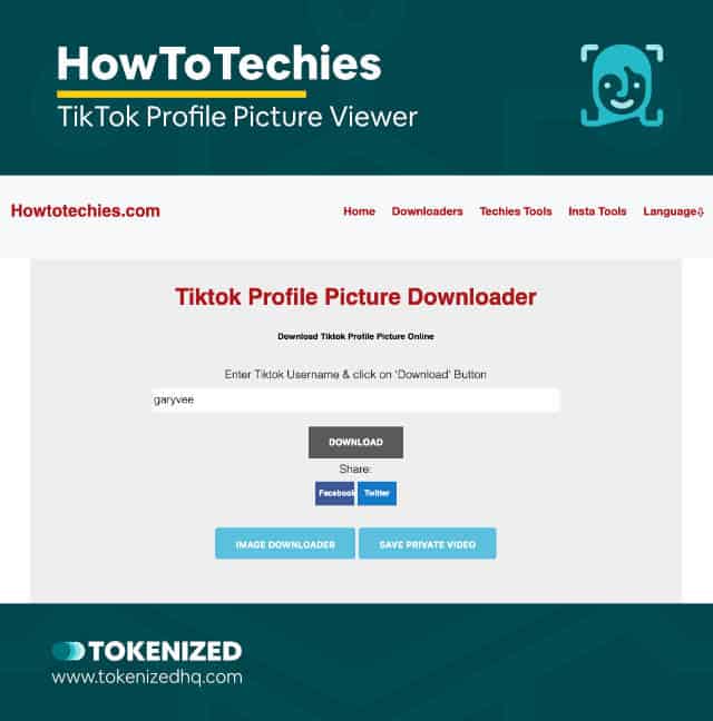Screenshot of the TikTok profile picture downloader by HowToTechies