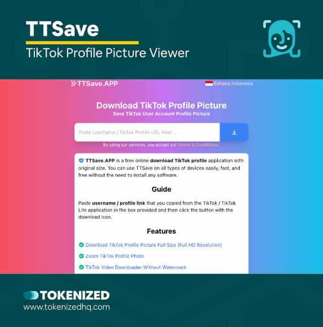 Screenshot of the TikTok profile picture downloader by TTSave