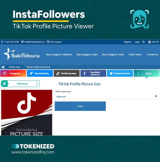 Screenshot of the TikTok DP viewer by TTSave