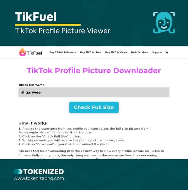 Screenshot of the TikTok profile picture viewer by TikFuel
