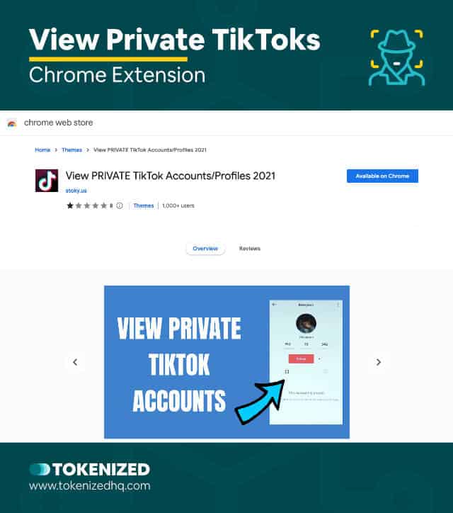 Screenshot of the View Private TikToks Chrome extension website.