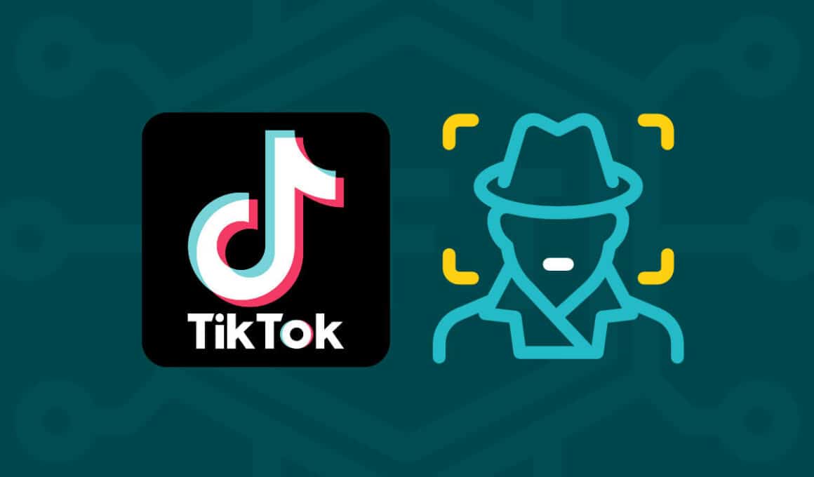 Featured image for the blog post "The 6 Best TikTok Private Account Viewers"