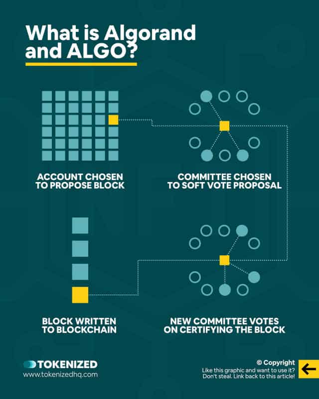 Infographic explaining what Algorand and ALGO is.