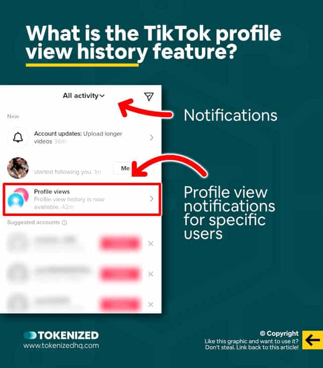 Infographic explaining what the TikTok profile view history feature is.