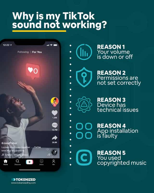 Infographic showing 5 reasons why your TikTok sound isn't working.