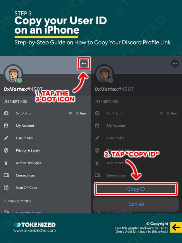 Step-by-step guide on how to copy your Discord profile link – Step 3 for iPhone