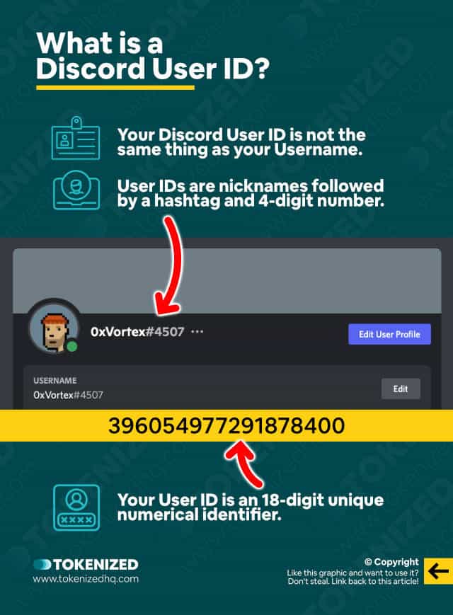 Infographic explaining the difference between a Discord User ID and Username.