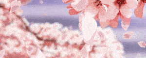 Another banner GIF with Cherry Blossom Petals falling quickly.