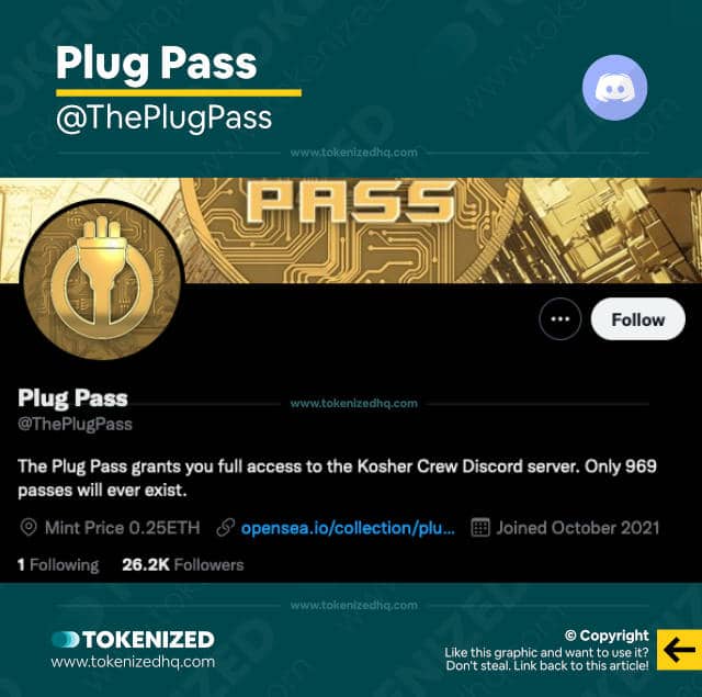 Screenshot of the Plug Pass NFT Alpha Group & Discord Server