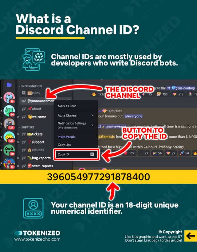 Infographic explaining what a Discord channel ID is.