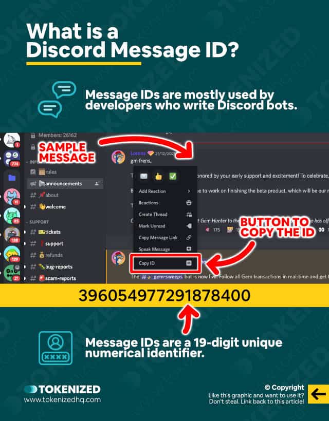Infographic explaining what a Discord message ID is.