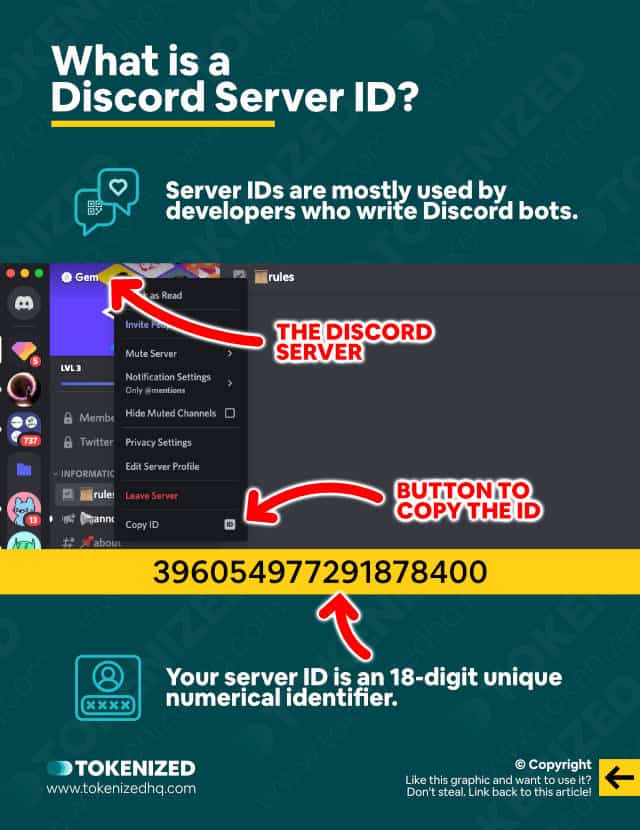 Infographic explaining what a Discord server ID is.