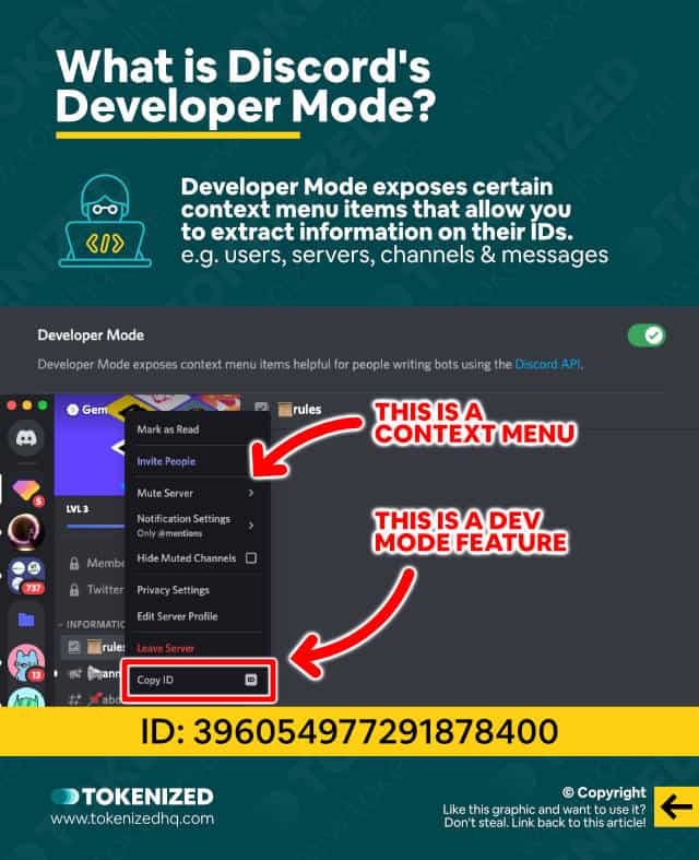 Infographic explaining what Discord Developer Mode is.
