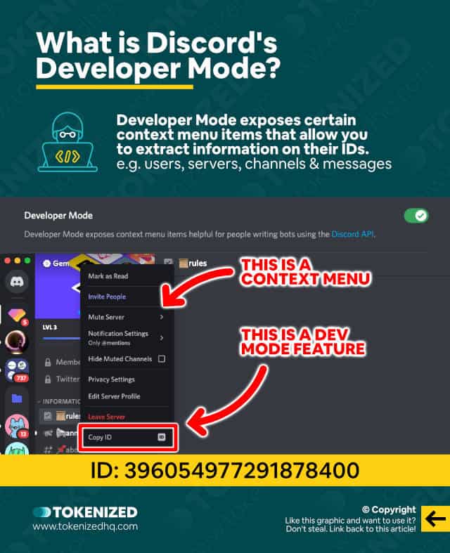 Solved: How to Enable Discord Developer Mode in 2023 — Tokenized