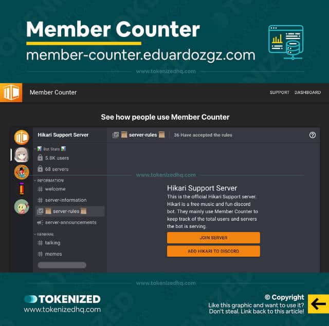 Screenshot of the "Member Counter" server stats bot website.