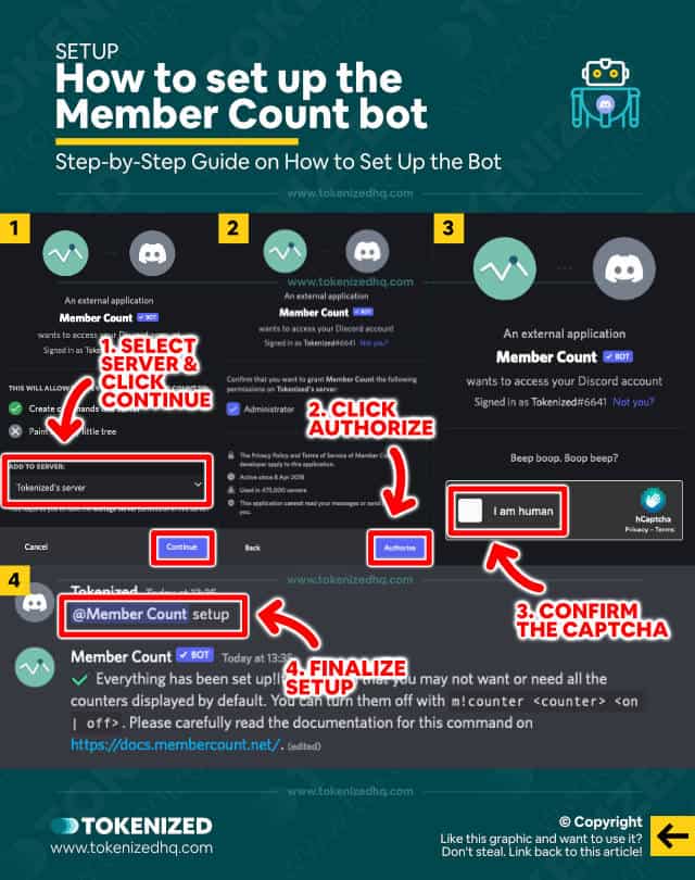 Step-by-step guide on how to set up the Discord Member Count bot.
