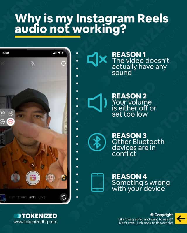 Infographic giving possible reasons why your Instagram Reels audio isn't working.