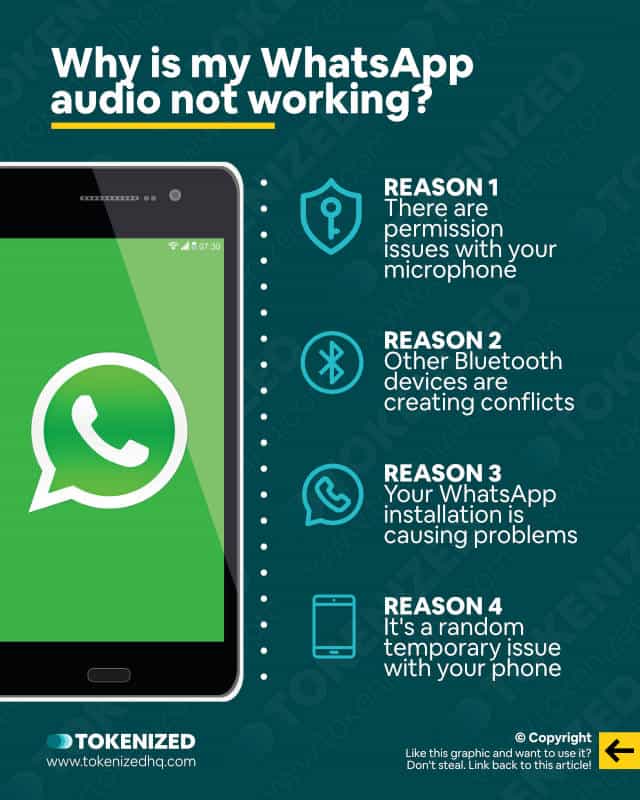 Infographic provinding potential reasons why your WhatsApp audio might not be working.