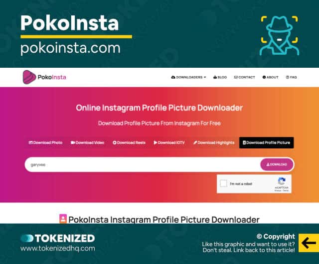Screenshot of the PokoInsta DP downloader website.