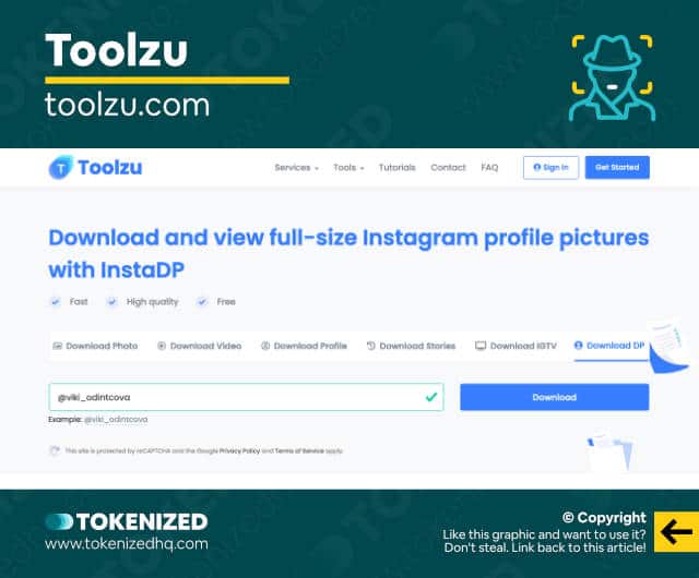 Screenshot of the Toolzu Insta profile downloader website.