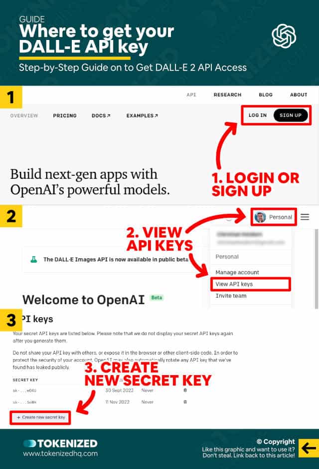 Step-by-step guide on how to get your DALL-E API key via the OpenAI website.
